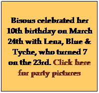 Text Box: Bisous celebrated her 10th birthday on March 24th with Lena, Blue & Tyche, who turned 7 on the 23rd. Click here for party pictures
