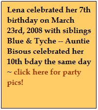 Text Box: Lena celebrated her 7th birthday on March 23rd, 2008 with siblings Blue & Tyche -- Auntie Bisous celebrated her 10th bday the same day ~ click here for party pics!
 
